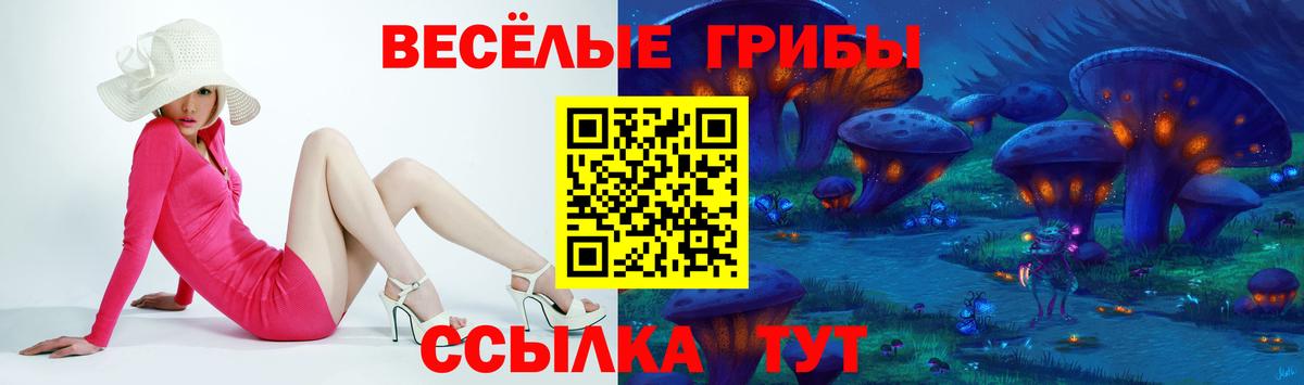 Псилоцибиновые грибы Cubensis  Вход с VPN  Гусев 